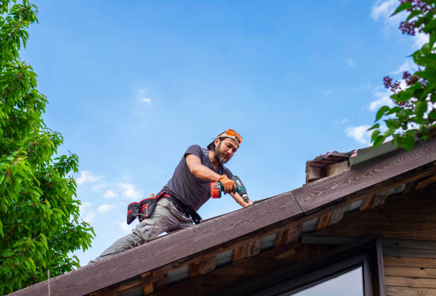 Best Tile Roofing Installation  in Tonto Basin, AZ