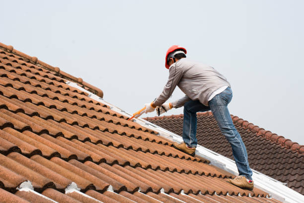 Best Tile Roofing Installation  in Tonto Basin, AZ