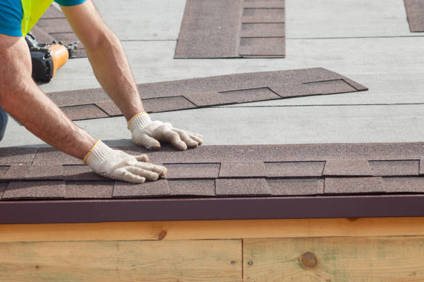 Best Roof Insulation Installation  in Tonto Basin, AZ