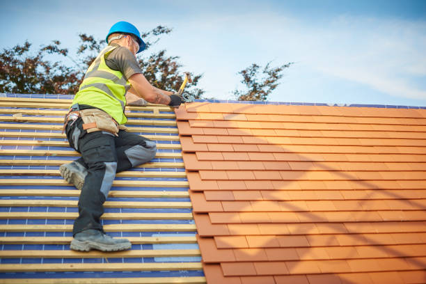 Best Rubber Roofing (EPDM, TPO)  in Tonto Basin, AZ
